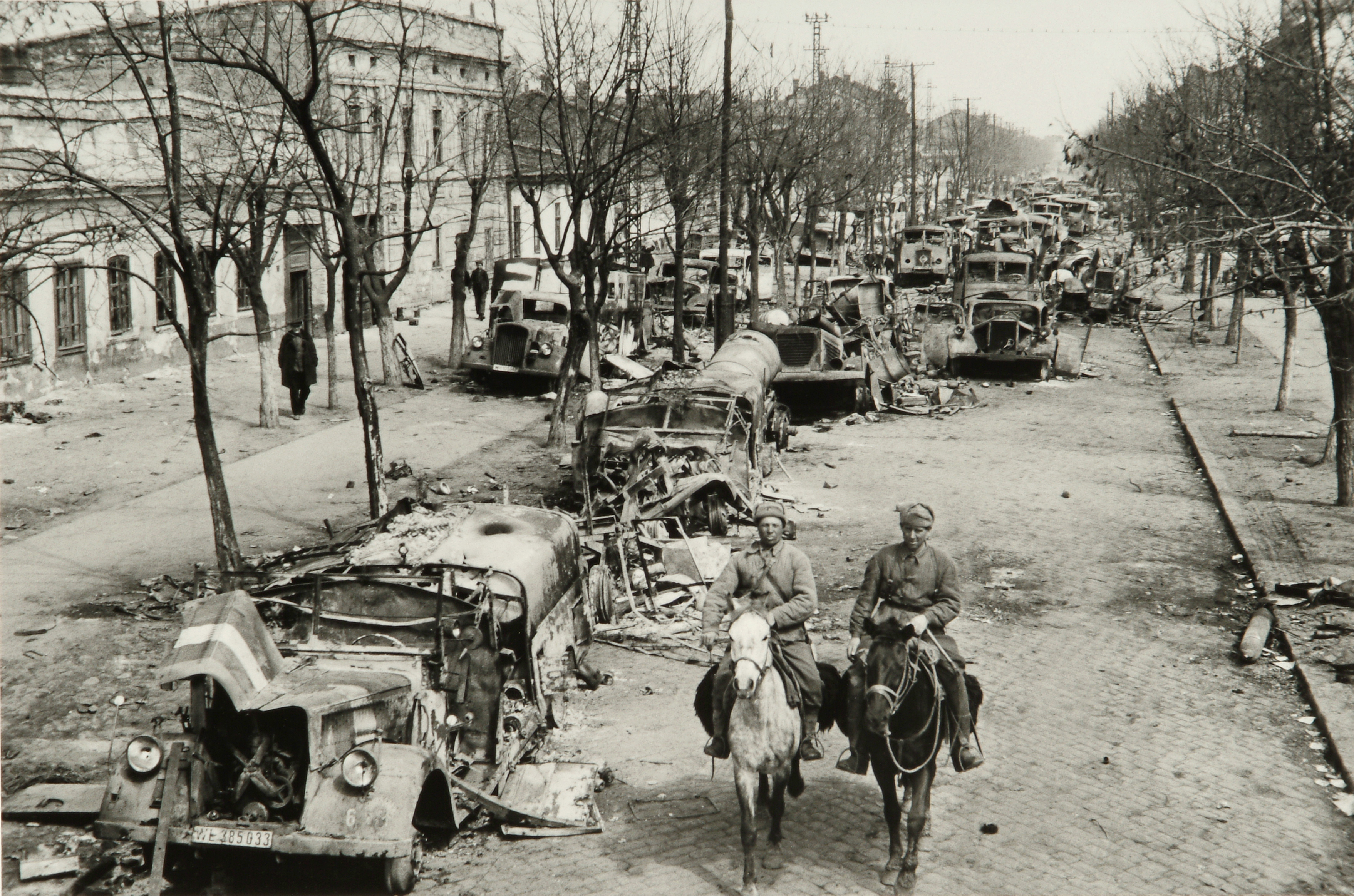 Inspecting the German Losses on the Outskirts of Odessa