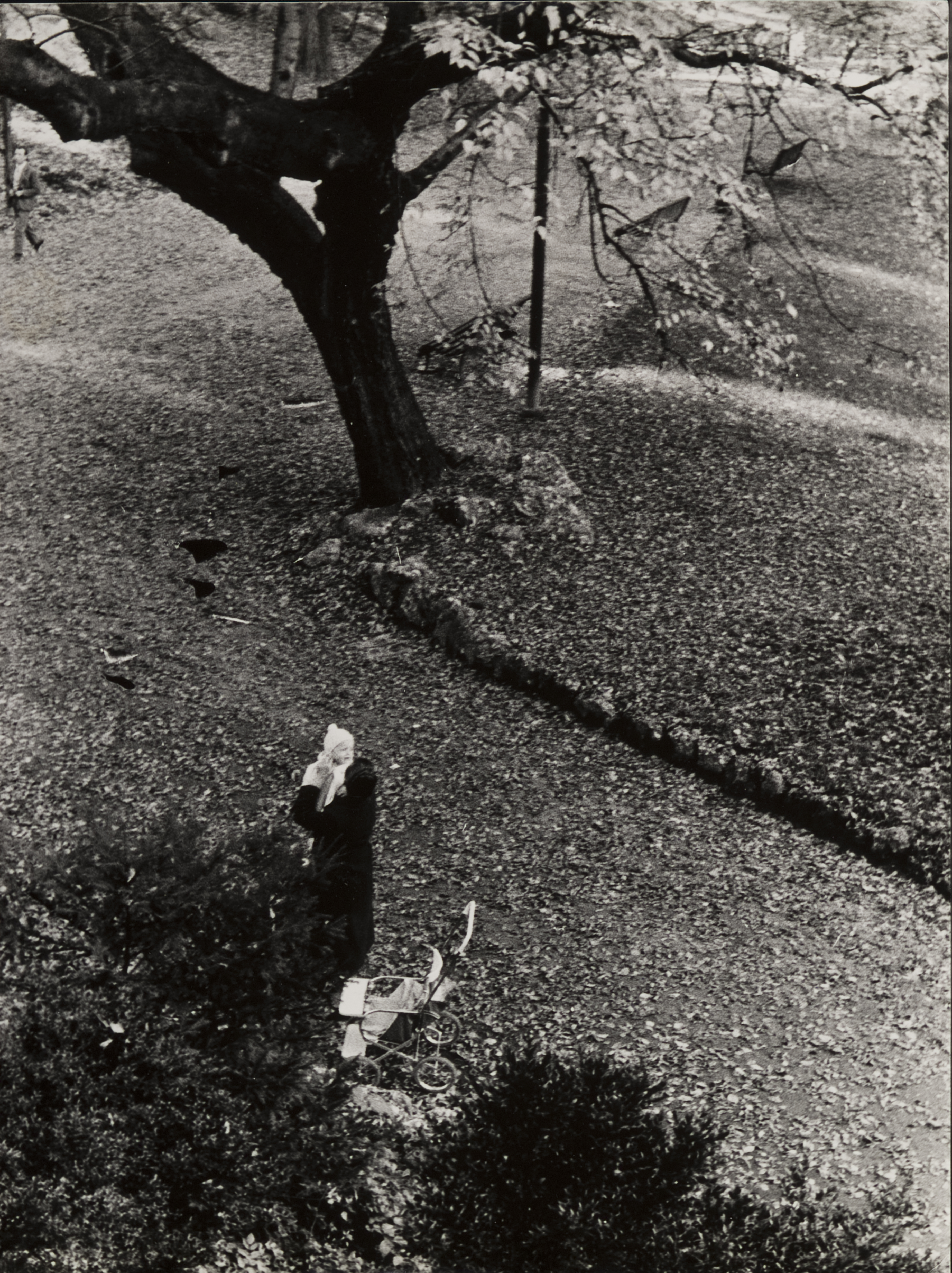 Overhead view of woman holding baby, carriage in foreground, tree behind