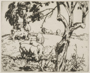 Old Apple Tree And Pigs