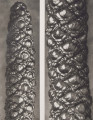 Alnus cordata. Italian alder, catkin, enlarged 15 and 20 times