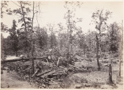 Battle Field of Atlanta, GA, July 22, 1864, No.1