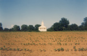 Church Across Early Cotton, Pickensville, Alabama