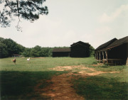 Horses and Black Buildings, Newbern, Alabama