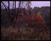 CVNRA #177A , from the Federal Lands series