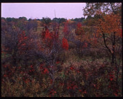 CVNRA #177B , from the Federal Lands series