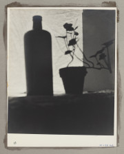 Still Life [Bottle and flower]