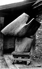 Untitled [View of Raoul Hague's sculpture "Angel Millbrook Walnut"]