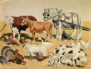 Untitled [Farm animals]