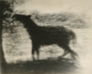 Horse, from Series 7