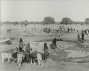 "Kordofan-the Country that Time Forgot (Province of Anglo Egyptian Sudan)" Scene
