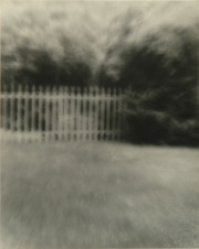 Fence Yard - B, from Series 8