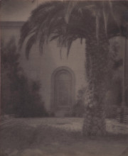 Palm tree and doorway