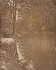 Barren trees reflected in stream