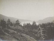 High Sierras, trees and lake