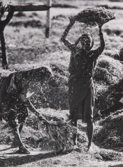 Women sheaving leaves, India