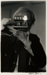 Warhol, Polaroid