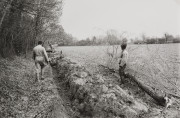 Men digging a trench in field, Algeria