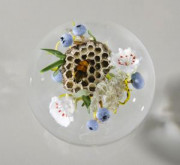Honeycomb with bee entwined with berries and flowers