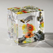 Brown-eyed Susan bouquet cube with honey bee