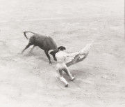 Bullfighter and bull in ring, bull attacking cape