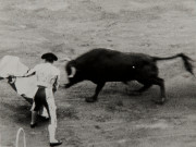 Bull and bullfighter in ring