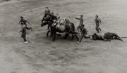 Bull being dragged out of ring by horses