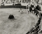 Two matadors in ring with bull