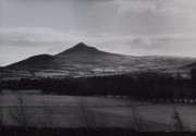Untitled (Landscape of field & mountain - Ireland)