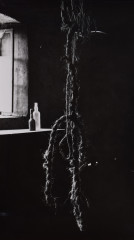 Hanging rope, Italy