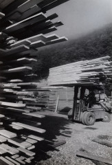 In the Vosges mountains, the forest is everywhere, and it is exploited using modern techniques, feeding the mills of valleys are loads like this one we met was leaving the St Mary mine From the series “l’Alsace, Tradition et Modernisation”