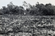 LBJ on a horse in the wetlands From the Life magazine story “Johnson in Miami”