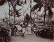 Street scene, Colombo, Ceylon