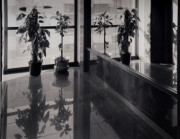 Elevator Lobby, Verona