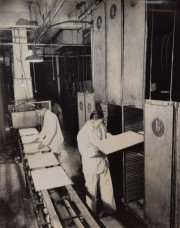 Man holding tray of sugar cubes