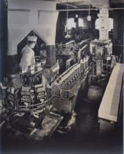 Man working at Jack Frost Sugar conveyor belt, Long Island City
