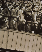 Crowd in stand, man raising arm