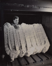 Man carrying insulation