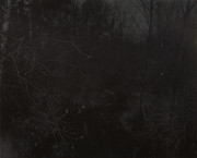 Night Coming Tenderly, Black: Untitled #19 (Creek and Trees)