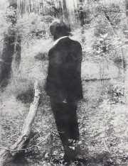 Untitled (Narcissus)