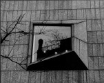 Reflection, NYC