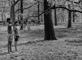 Central Park, NYC