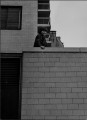 Child, NYC