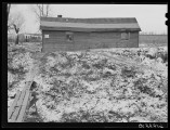 Day Laborer’s House, Scioto Marshes, Hardin County, November 1940
