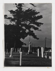 Untitled [Cemetery]