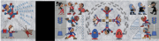 The Snowy Codex